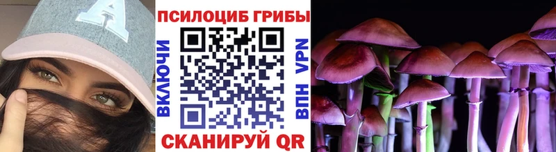 Псилоцибиновые грибы ЛСД  Купить  Можайск 